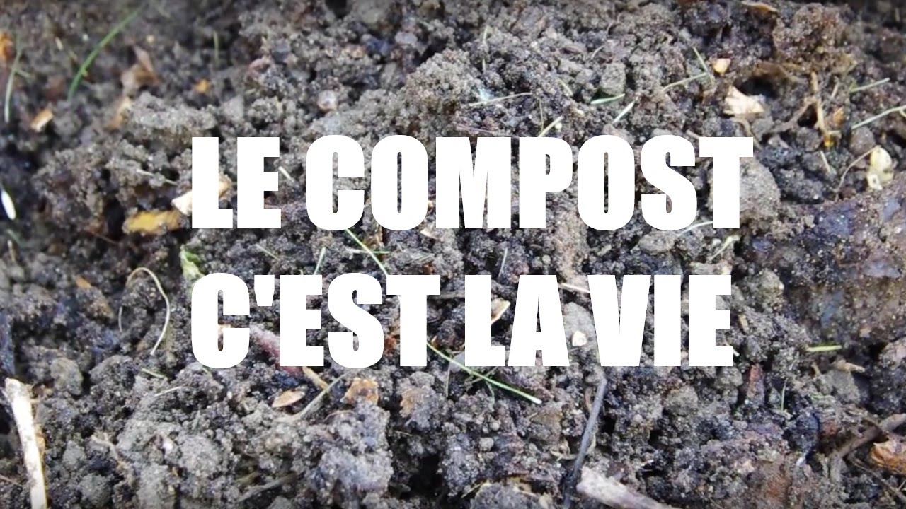 Le compost c'est la vie
