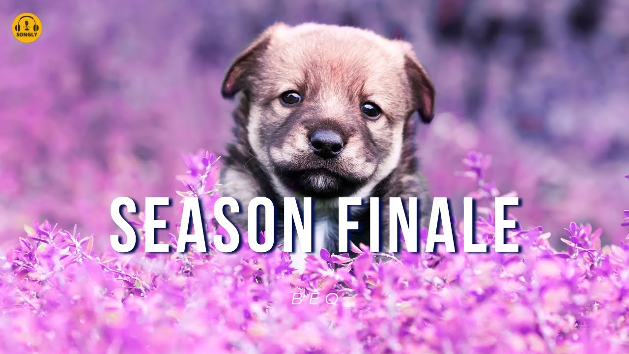 SEASON FINALE (Lyrics)🎵 - BEO #songlymusic