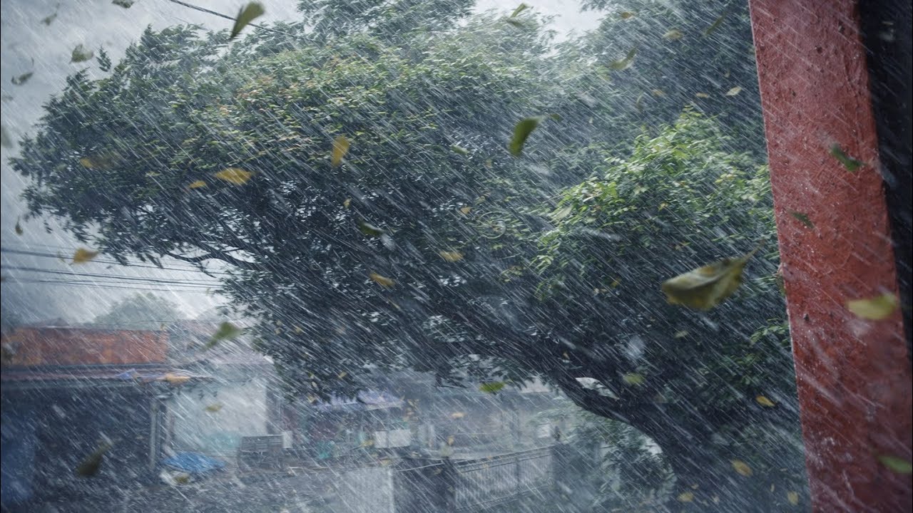 WALKING AND HEAVY RAIN & STRONG WIND SOUNDS 🌧️🍃 | RELAXING STORM AMBIENCE FOR SLEEP 