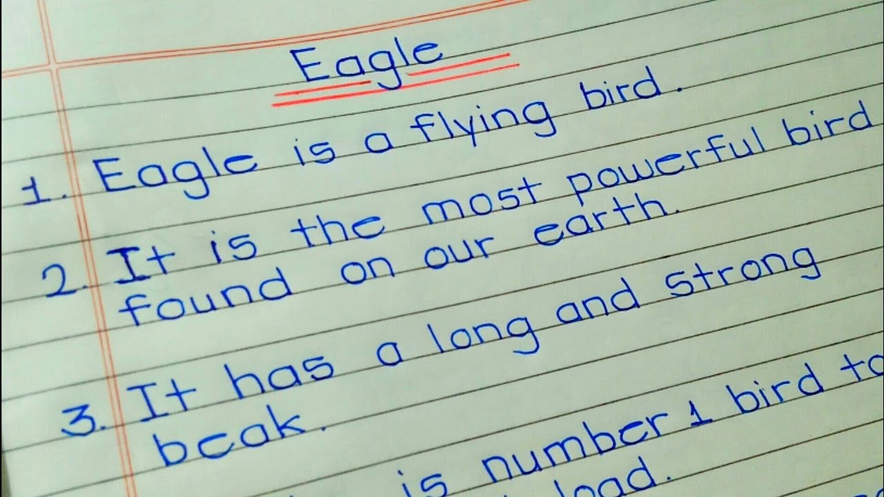 Essay on eagle // 10 line on eagle // essay writing on eagle in English // my favourite bird essay