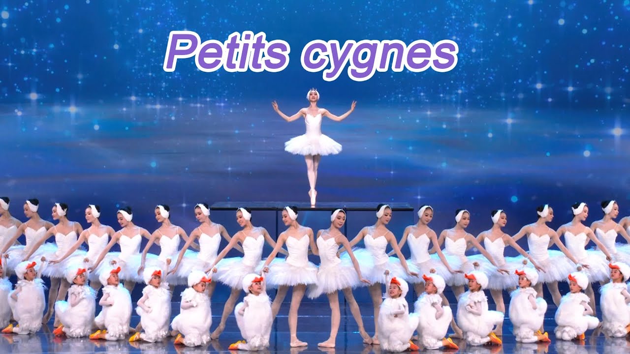 Petits cygnes | Grand Gala de la Fête du Printemps 2024 de CMG