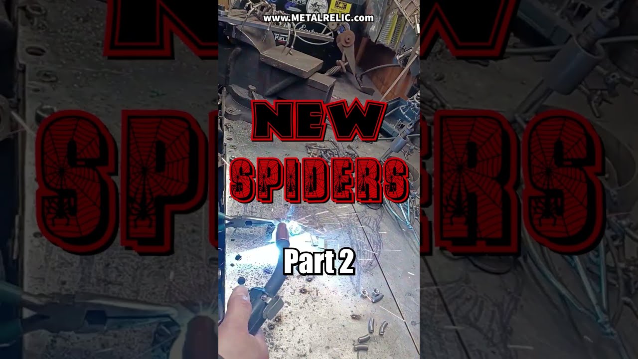 New Spider Build Part 2! Today we are building some new arachnids!