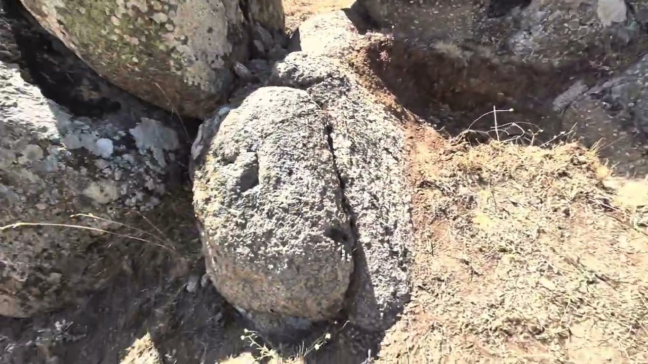 Kralın bulunamayan gizli hazinesi 