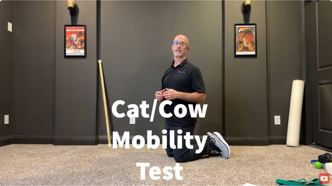Cat-Cow Mobility Test | Assess Your Spine Flexibility & Movement