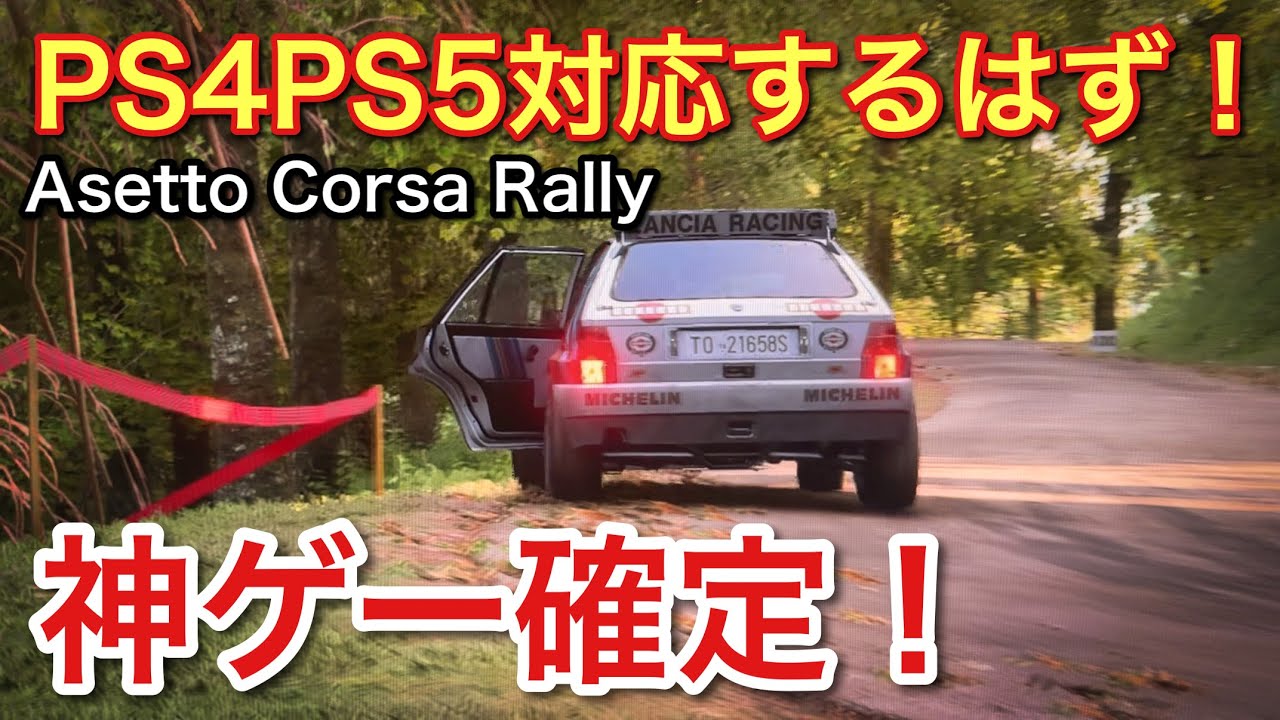 【Assetto Corsa Rally】ベータ版を先行プレイ！神ゲーらしい！【picar3】