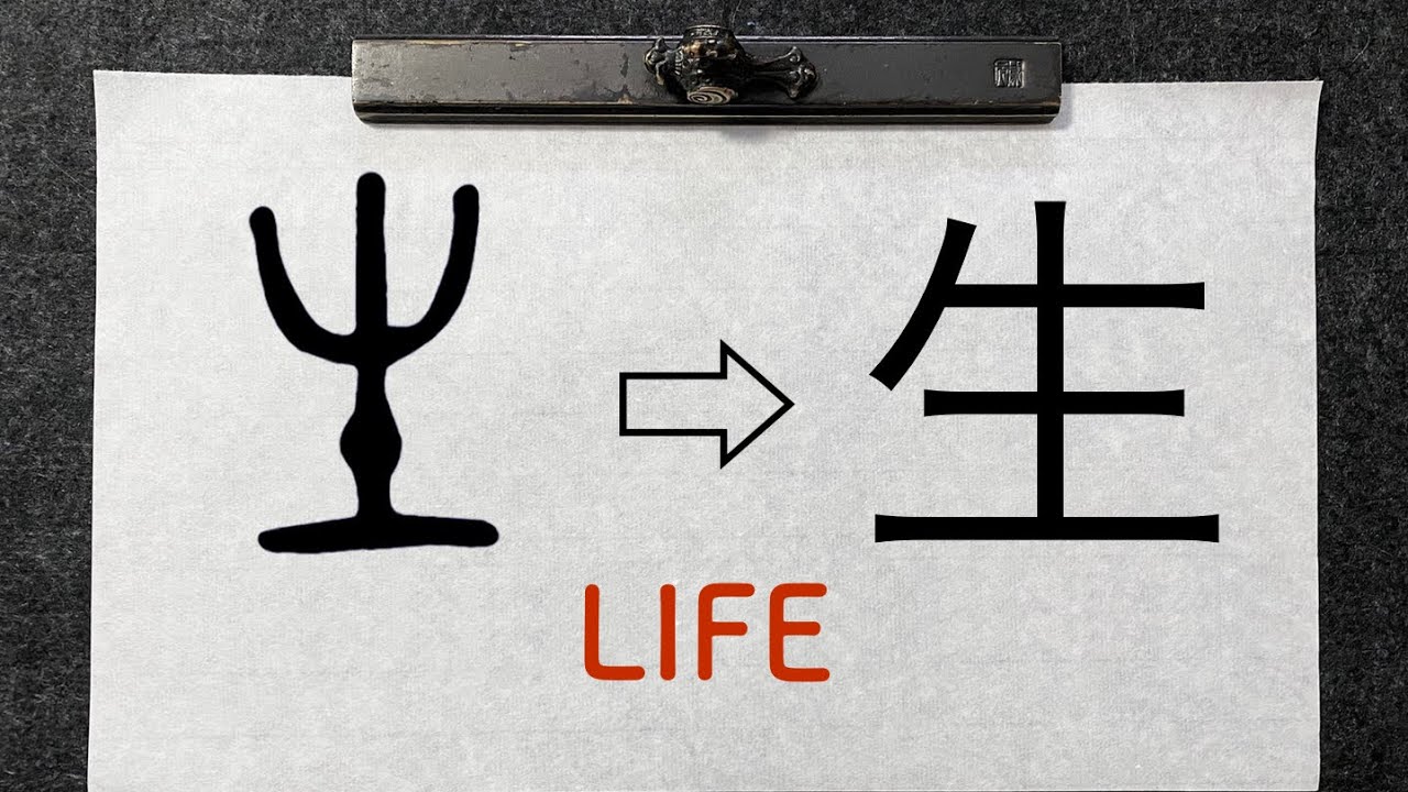 A visual history of 生 Life Kanji Japanese character