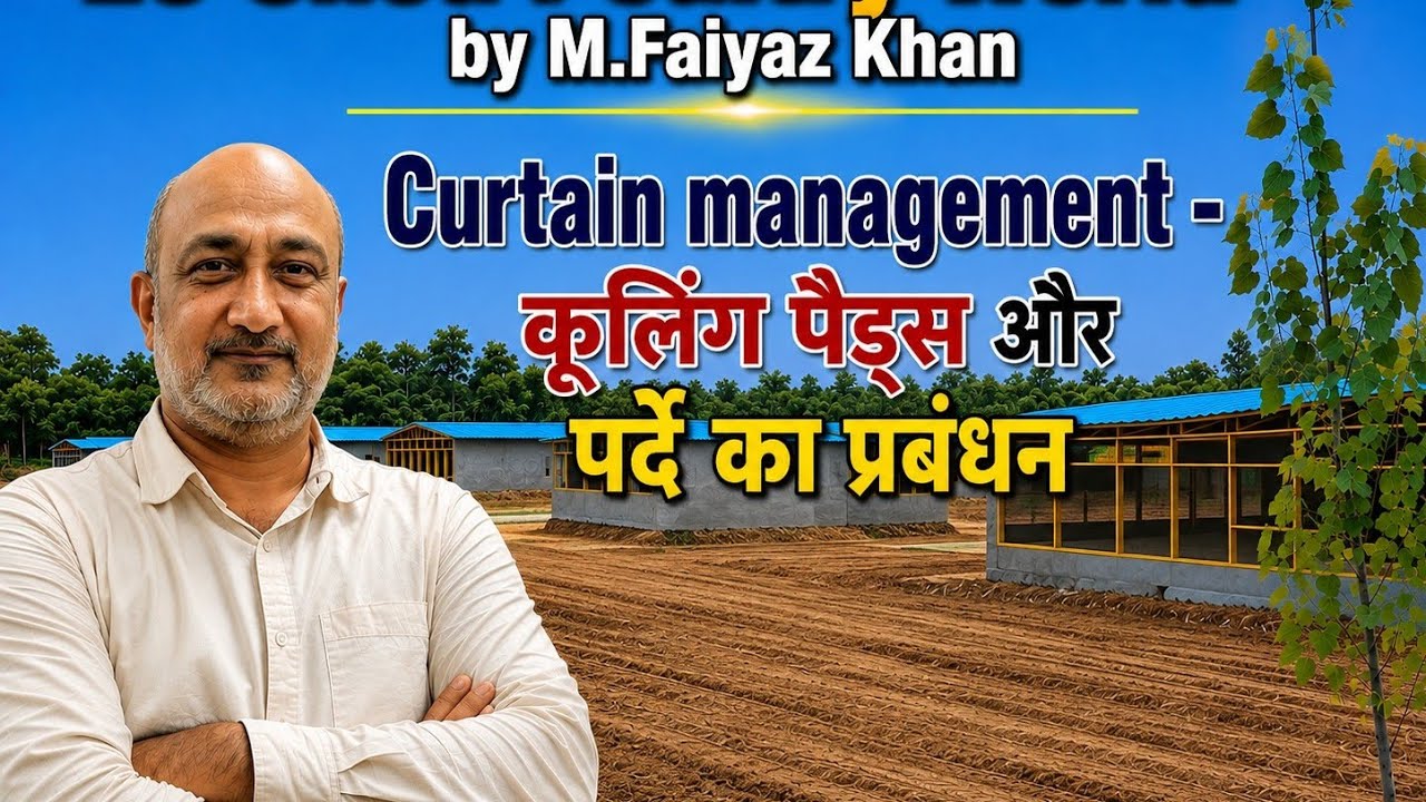 Poultry EC Shed #Curtain Management #How to manage Oxygen+Temperature and zero amonia formation 