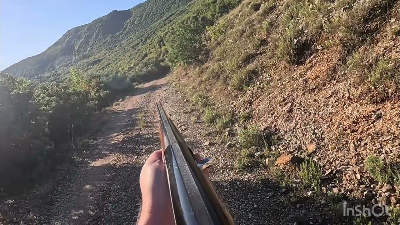 SEGUGIO ITALIANO ΝΤΟΥΦΕΚΙΑ ΣΤΟ ΓΥΡΙΣΜΑ ΚΑΙ ΠΙΑΣΙΜΟ ΑΠΟ ΤΑ ΣΚΥΛΙΑ