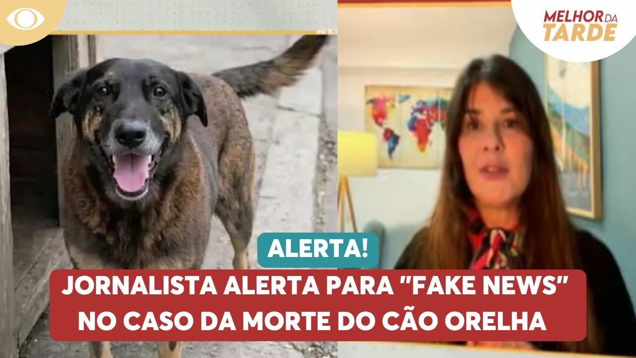 Jornalista alerta para 