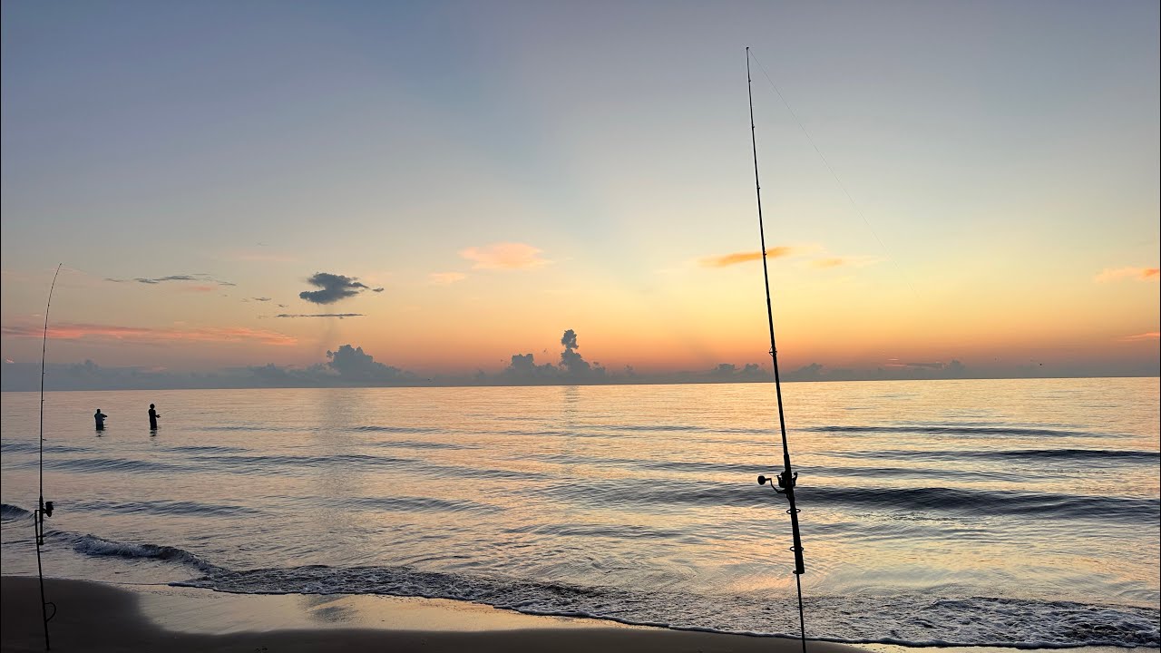 Catching TASTY Fish From The SURF with LIVE SHRIMP! (Fishing In South Texas)