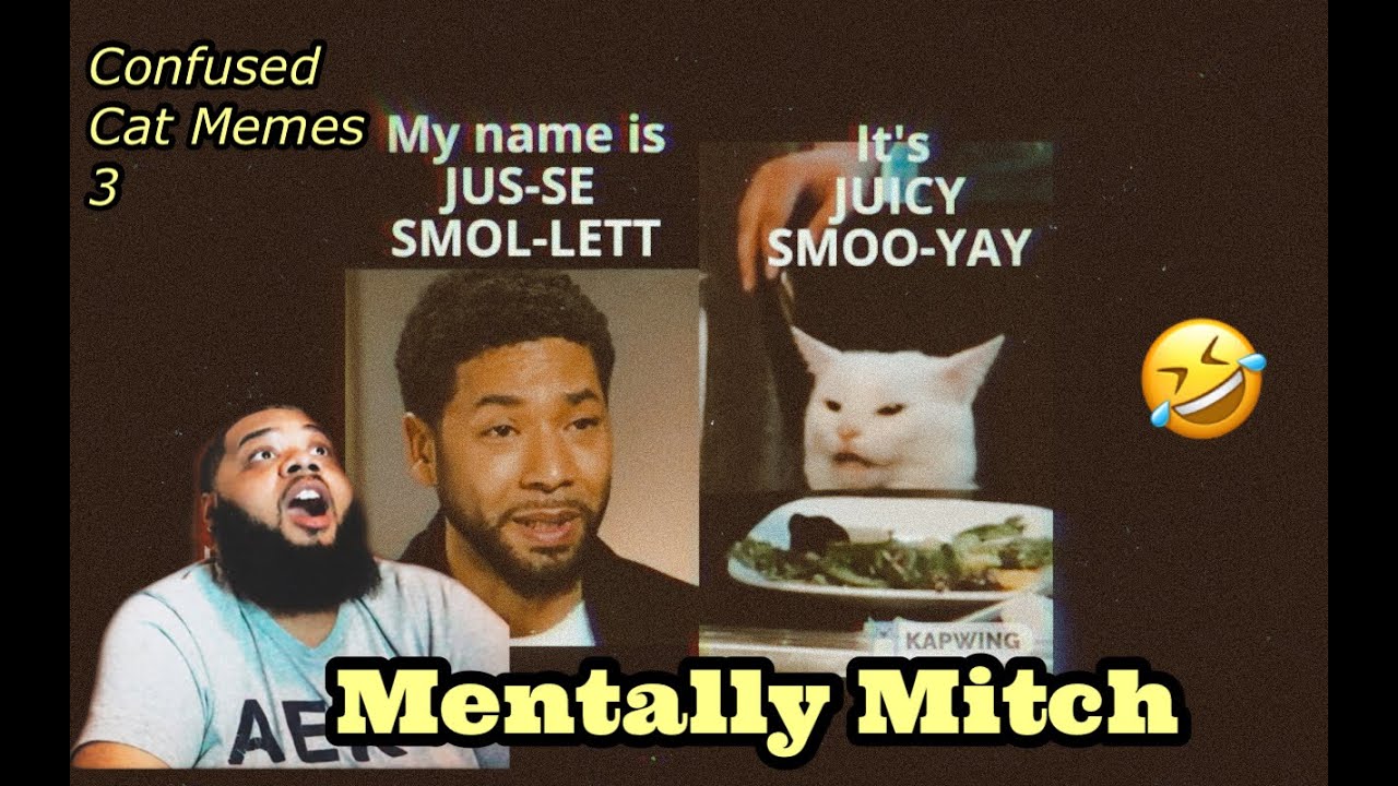 SMUDGE is a LEGEND | Mentally Mitch - Confused Cat Memes part 3 | REACTION
