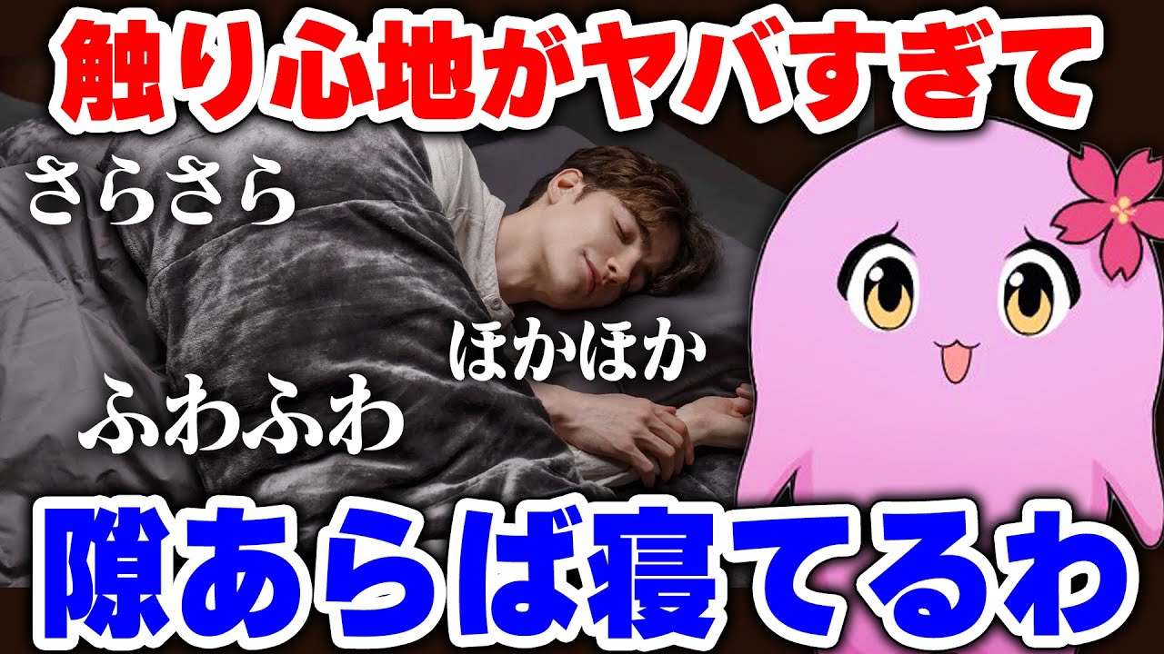 冬、永遠のパートナー【 ブレインスリープ 】【 SqLA 】