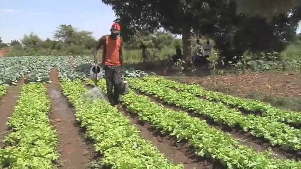 Tour du Faso 2012 - 22 octobre 2012 - Focus sur la ville de Ouahigouya
