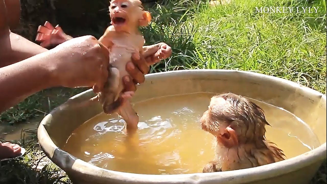 Elder Sister Persuades Small Sister Bathing So Smart