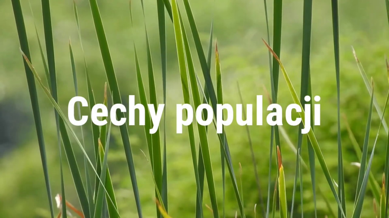 Cechy populacji