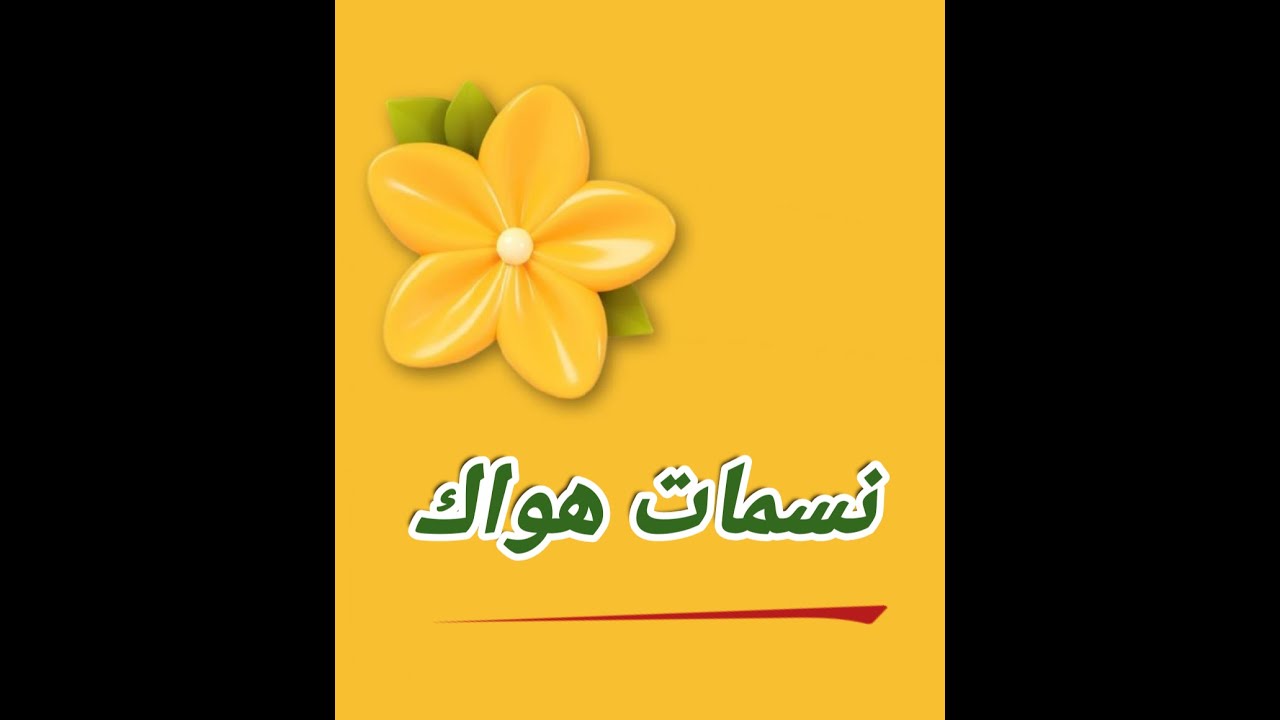 نسمات هواك لها أرج ـ بدون موسيقي _ Mevlan Kurtishi