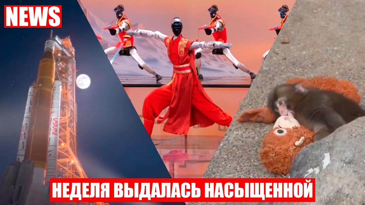 Лунная ракета SLS прошла репетицию, роботы показали кунг-фу в Китае, игрушка заменила маму обезьянке
