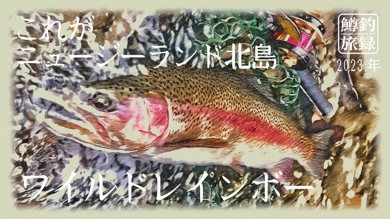 【前編】3月・🇳🇿ニュージーランドNZ 北島釣行！レインボートラウト 