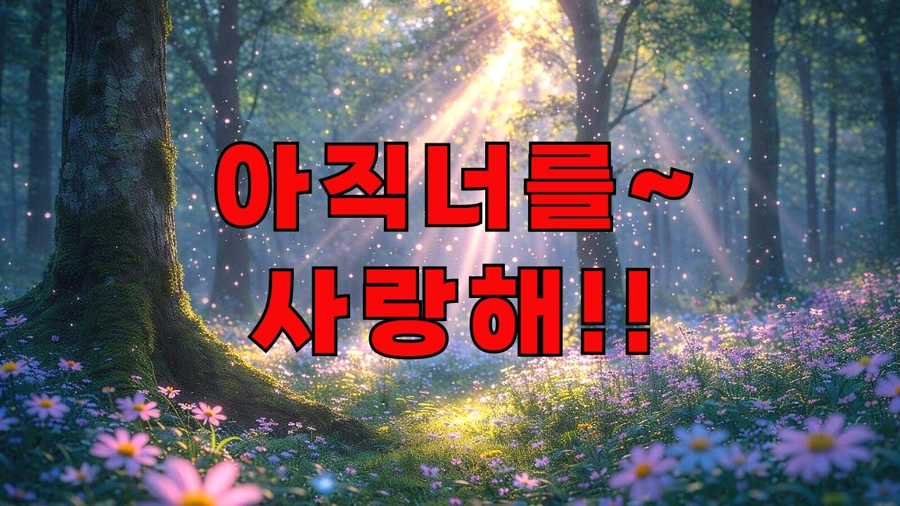아직 너를 사랑헤~#플레이리스트##노래 #슬픈노래 #감성노래