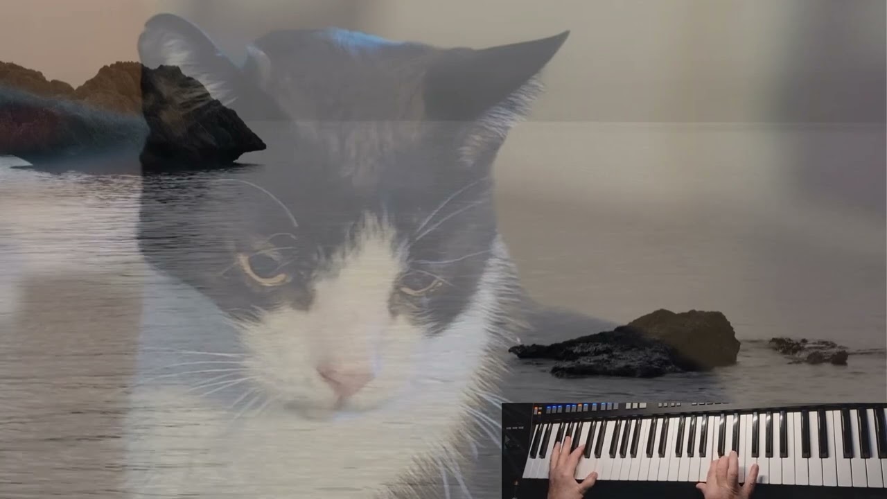 Il Silenzio gespielt am Yamaha SX 720.  Zur Erinnerung an meinen lieben Kater 