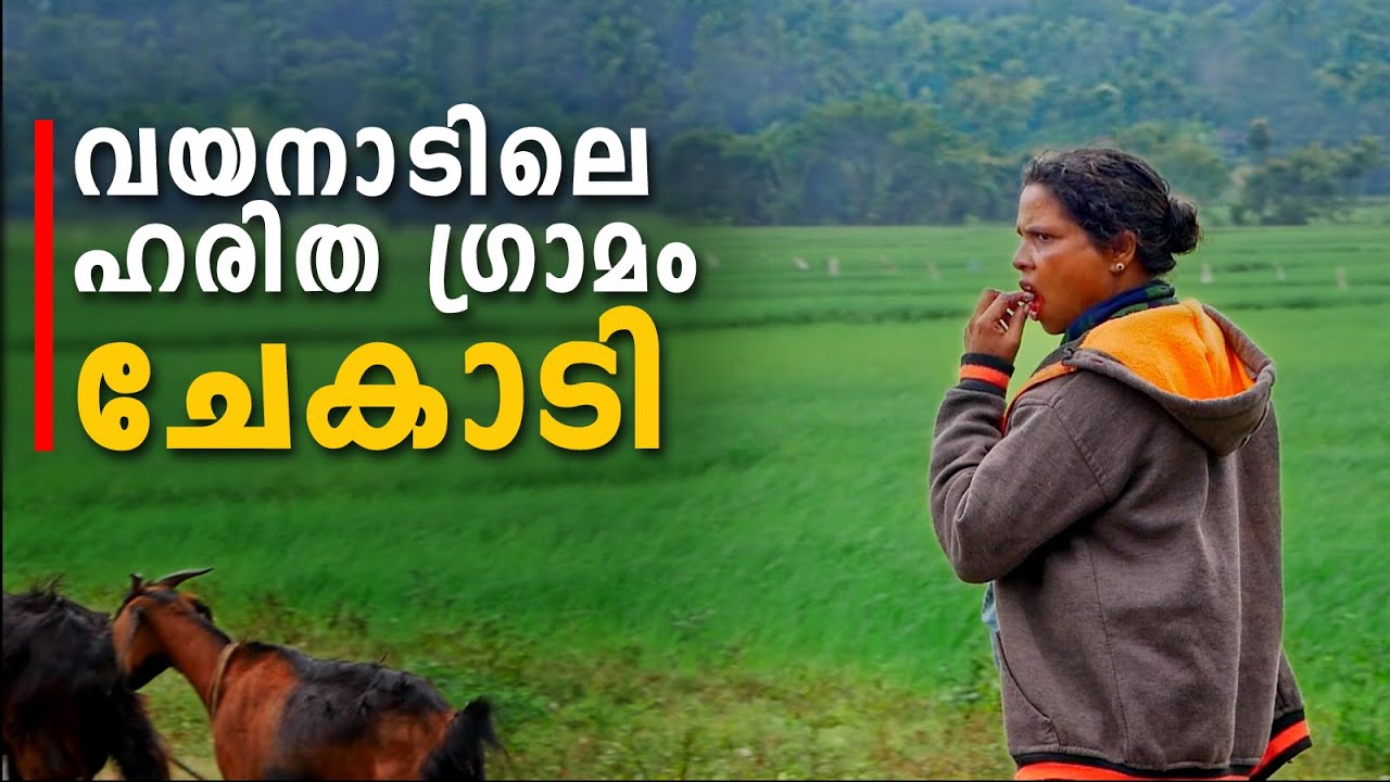 Chekadi Village | Wayanad Tourist Places - Part 6