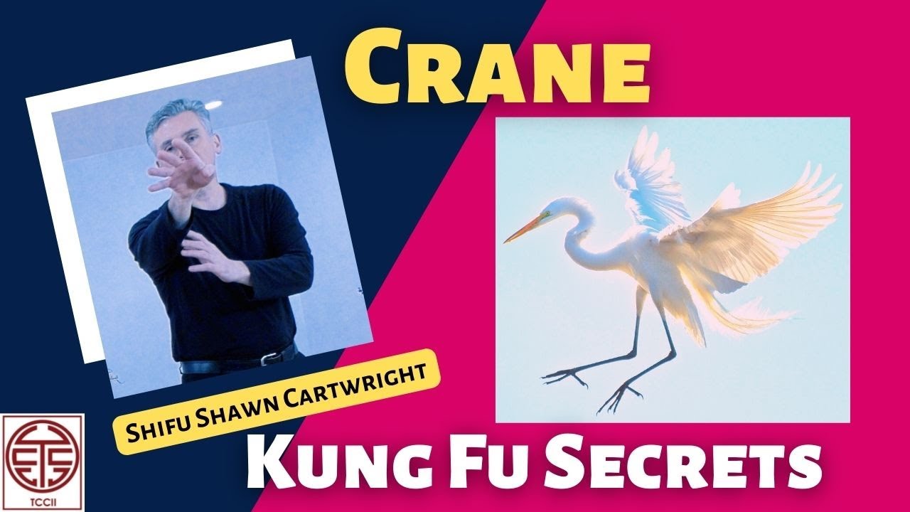 Crane Kung Fu Style Animal Techniques & Applications - Kung Fu Secrets