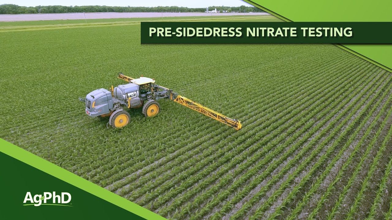 Weed Control in Conventional soybeans (From Ag PhD #1103 Air Date 5-26-19)