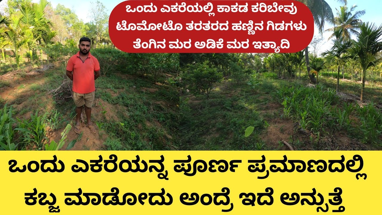 41 ಗುಂಟೆಯಲ್ಲಿ ಒಂದು ಚೂರು ಜಾಗ ಕೂಡ ವ್ಯರ್ಥ ಮಾಡದೆ ಗಿಡಗಳನ್ನು ಹಾಕಿದ್ದಾರೆ.. ಅಡಿಕೆಯ ಜೊತೆ ಎಲ್ಲ ಬೆಳೆಗಳನ್ನು ಅಂತರ