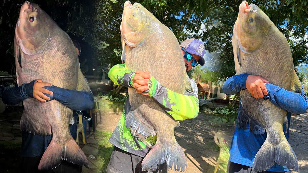 PARAÍSO VERDE, O LAR DOS MONSTROS NA SUPERFÍCIE