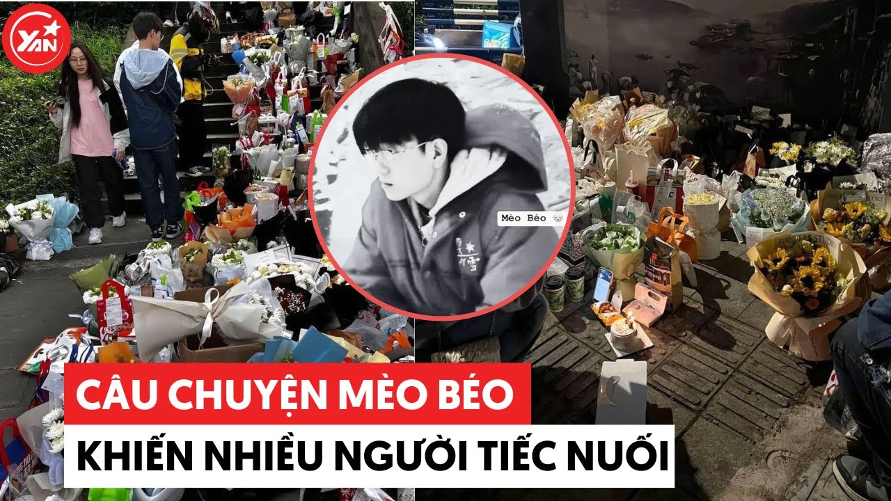 Câu chuyện Mèo Béo Trung Quốc: Nhiều người đem hoa, đồ ăn đến chân cầu để viếng