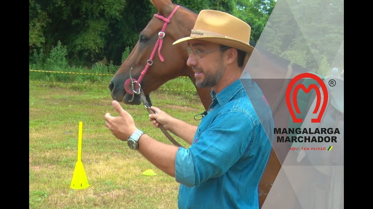 Curso para provas sociais