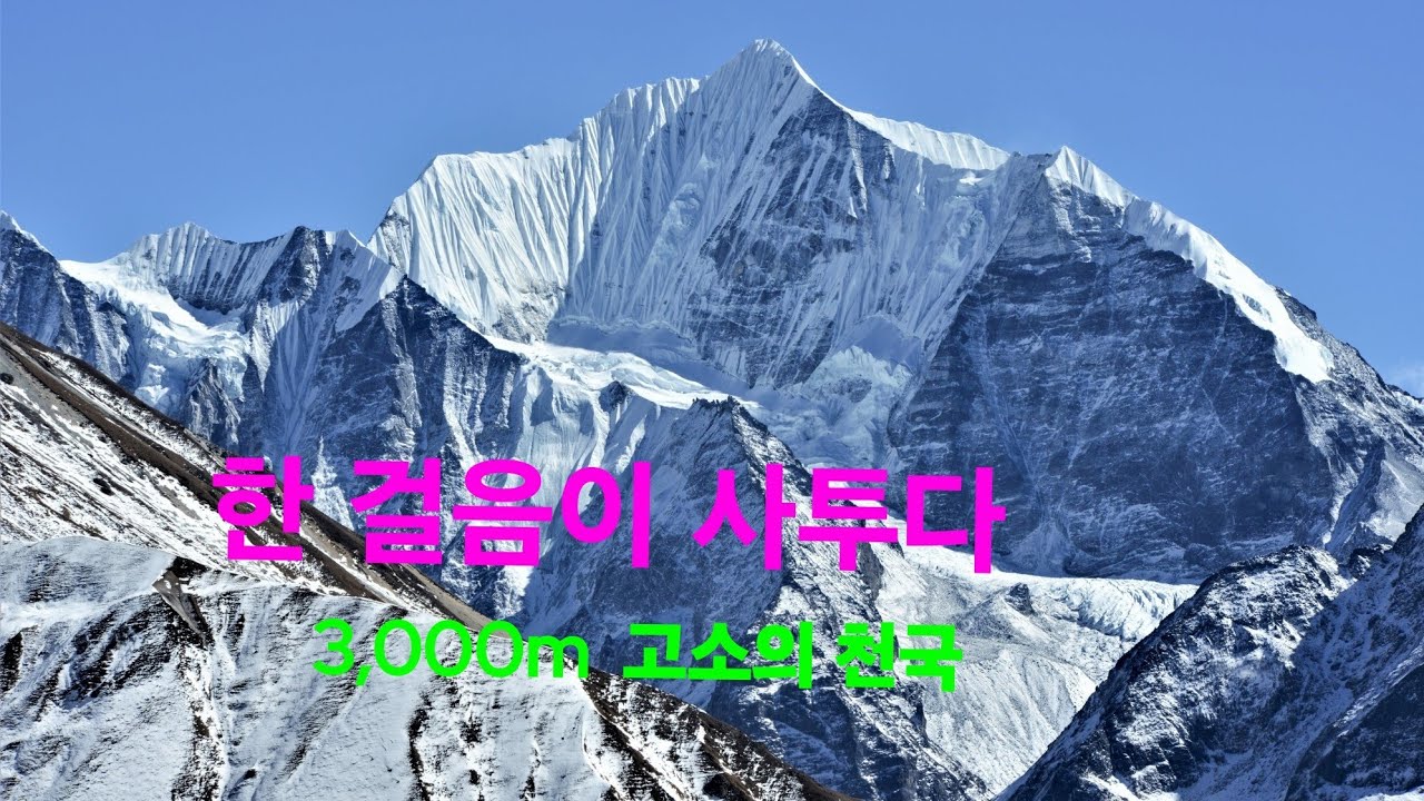 한 걸음이 사투다 