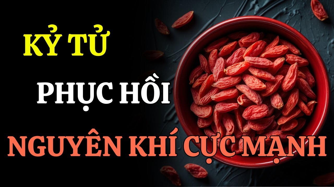 PHỤC HỒI NGUYÊN KHÍ BẰNG KỶ TỬ – BÍ QUYẾT TRƯỜNG THỌ