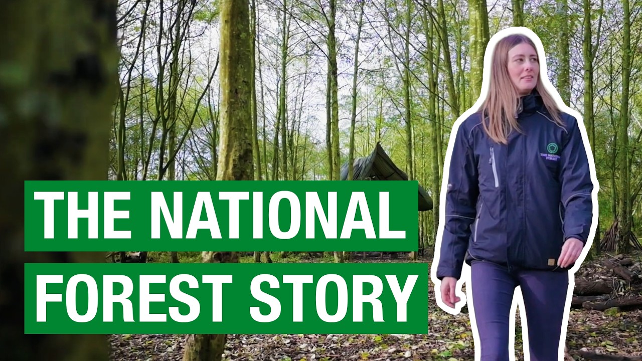 The Story of The National Forest