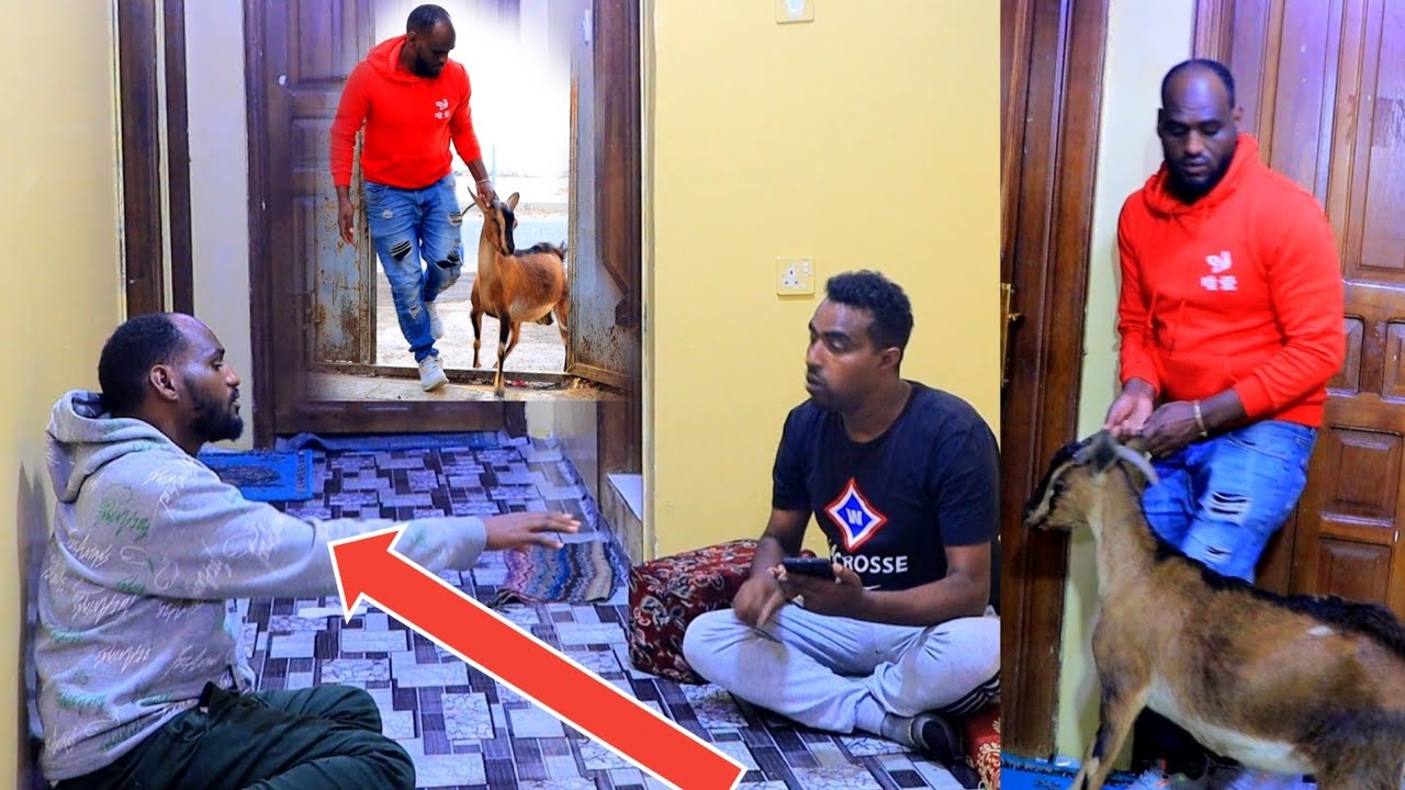 🛑😭innaalillah hajjiin akka re'ee hatee lakkuu lamaan wojjin qale abdiin camera dhoksee amansiise😭