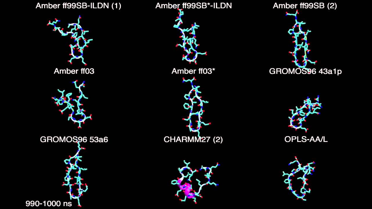 Force field comparison: Amber, GROMOS, CHARMM, OPLS