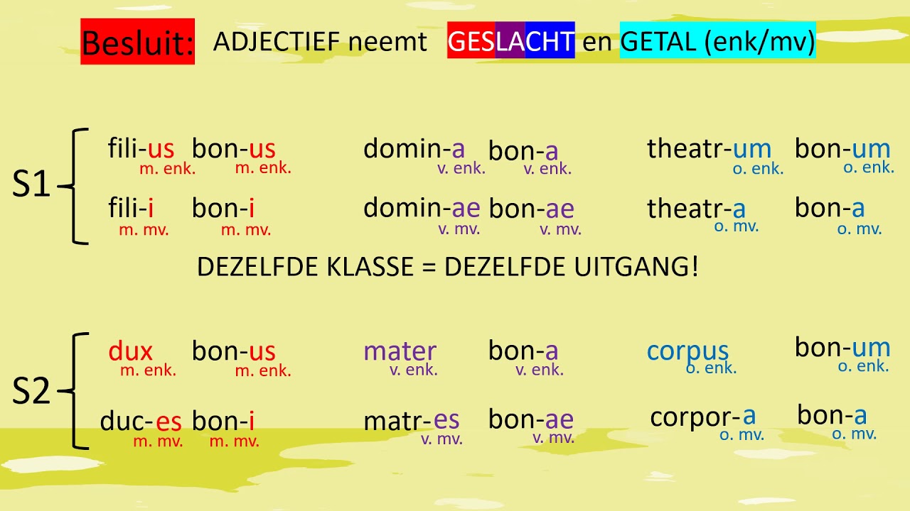 De Latijnse adjectieven van de 1ste klasse (Les 08)
