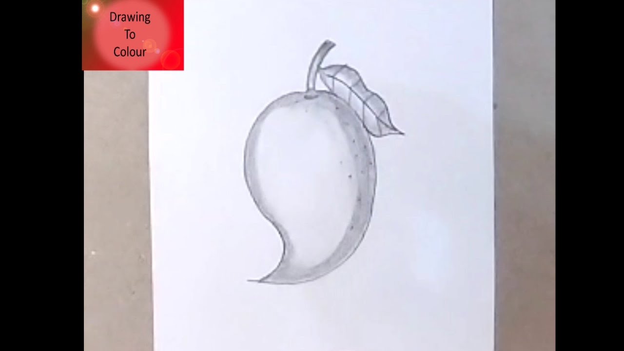 How To Draw a Mango | Mango Drawing and Shading | Pencil Drawing @DrawingToColour