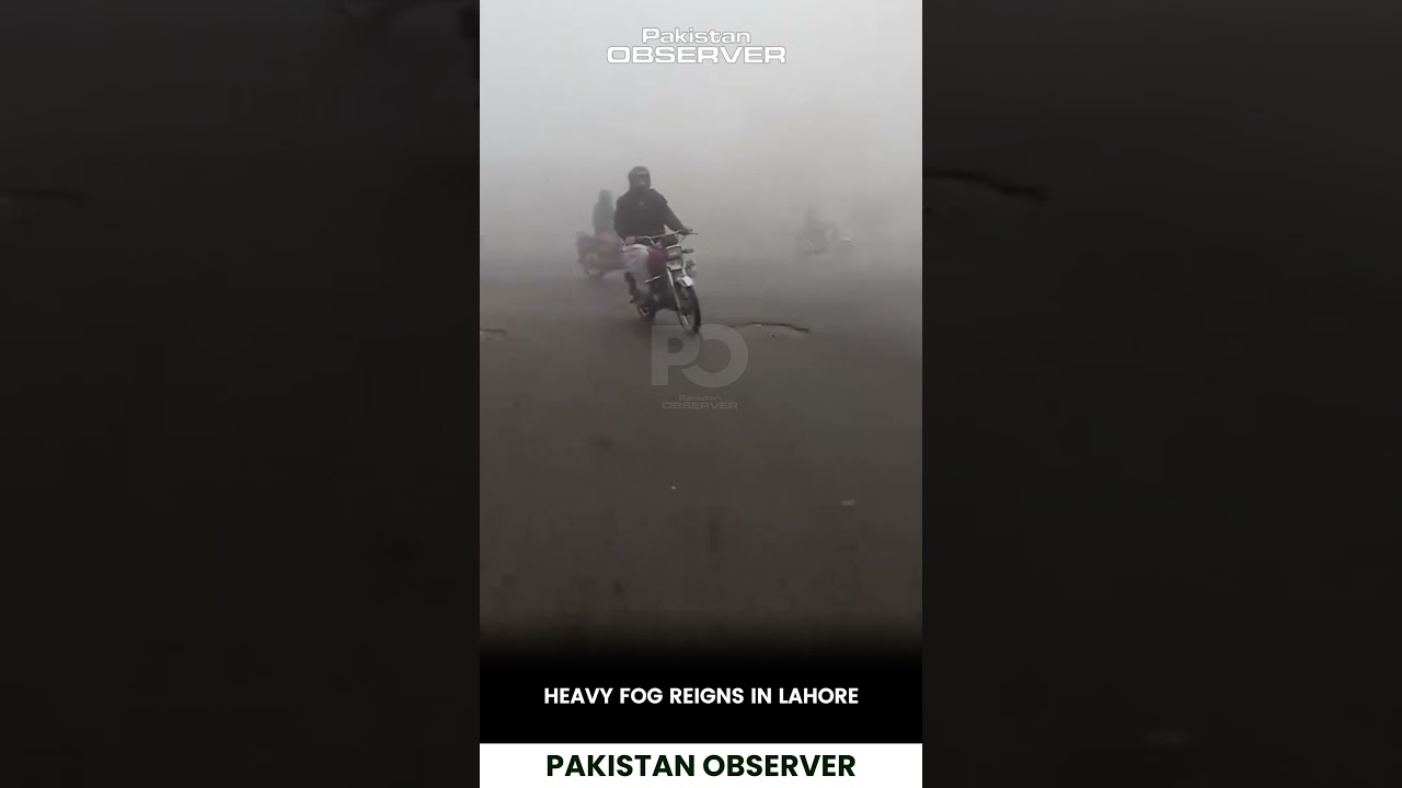 Густой туман окутал Лахор, нарушив повседневную жизнь | Pakistan Observer