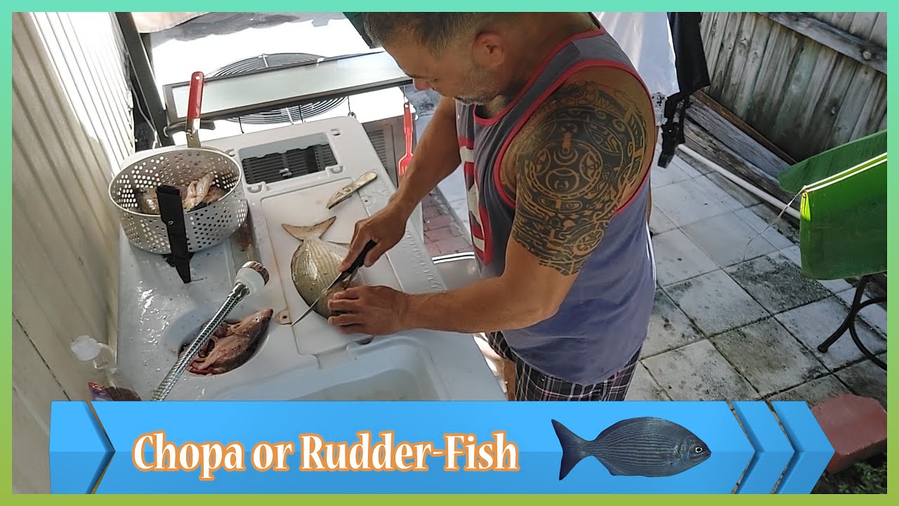 🐠"Limpieza y Fileteo de Chopa" ✔️Chopa or Rudder-Fish