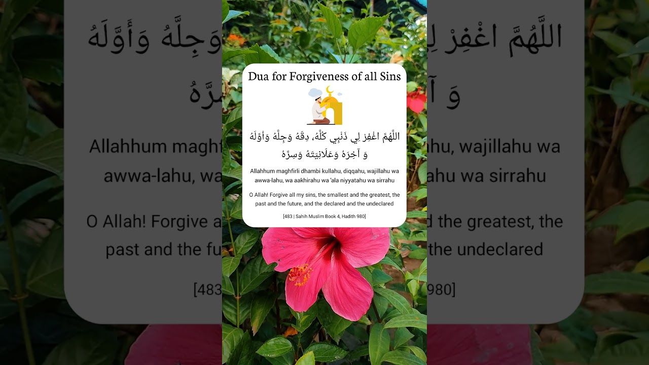 Dua for Forgiveness of all Sins 🤲🌺