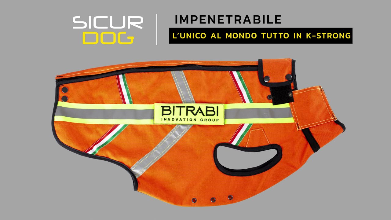 BITRABI SICUR DOG - Il corpetto da caccia antizanna in K-STRONG // ITA