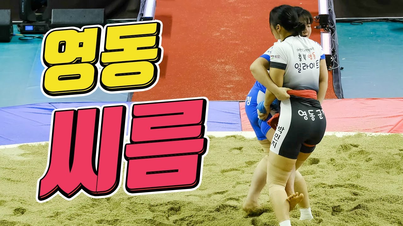 졌잘싸! 영동군 씨름단 경기모음! [2024설날장사씨름대회]