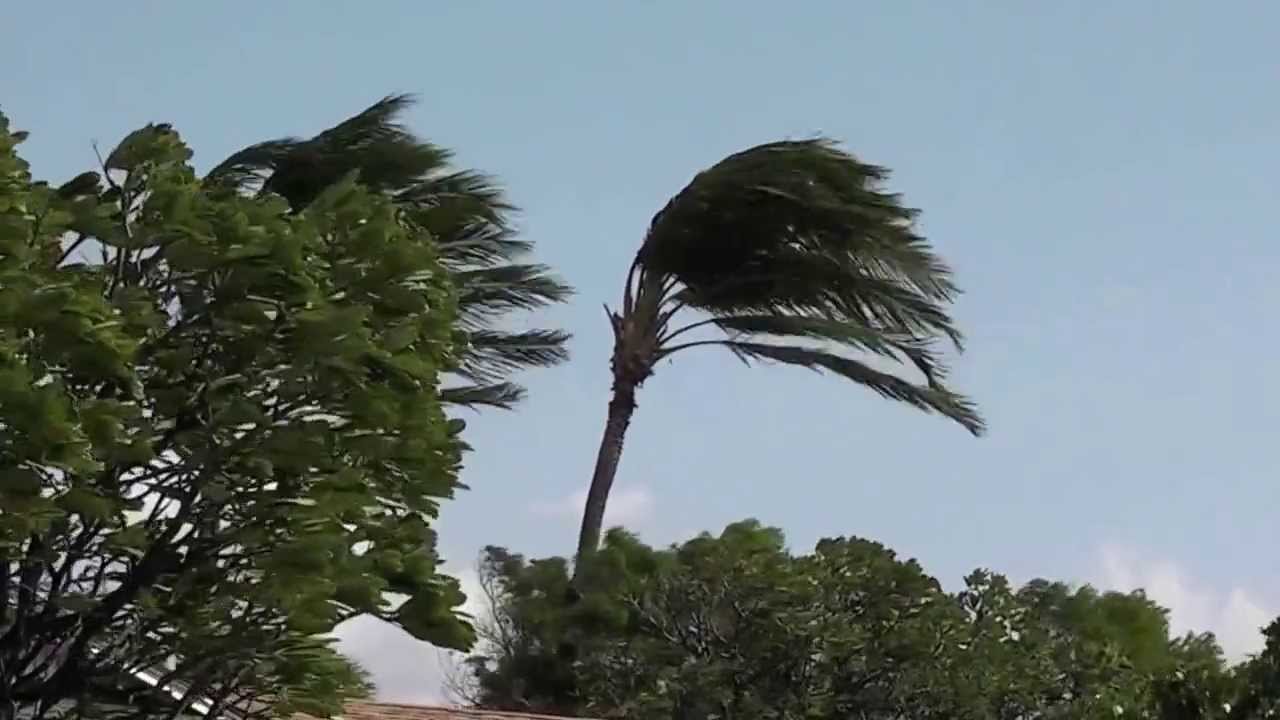 60mph Trade Winds - Hawaii March 9, 2010