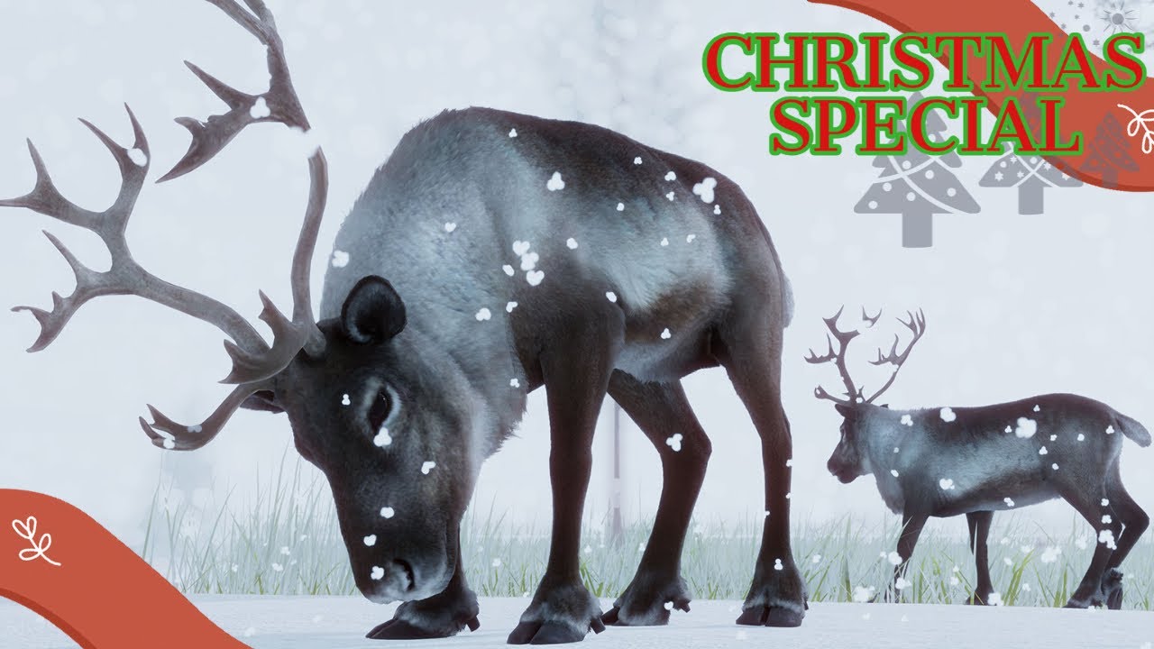 The Planet Zoo CHRISTMAS SPECIAL