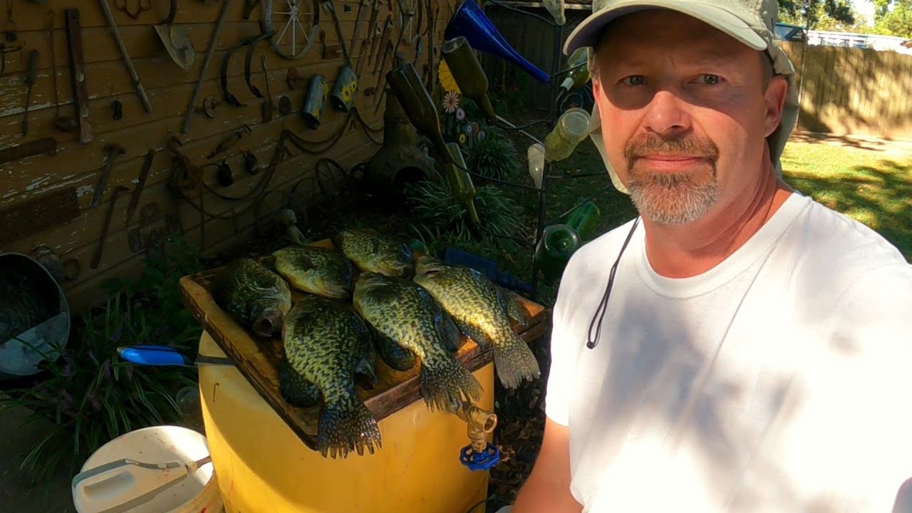 CLEANING CRAPPIE WITH A ELECTRIC FILLET KNIFE