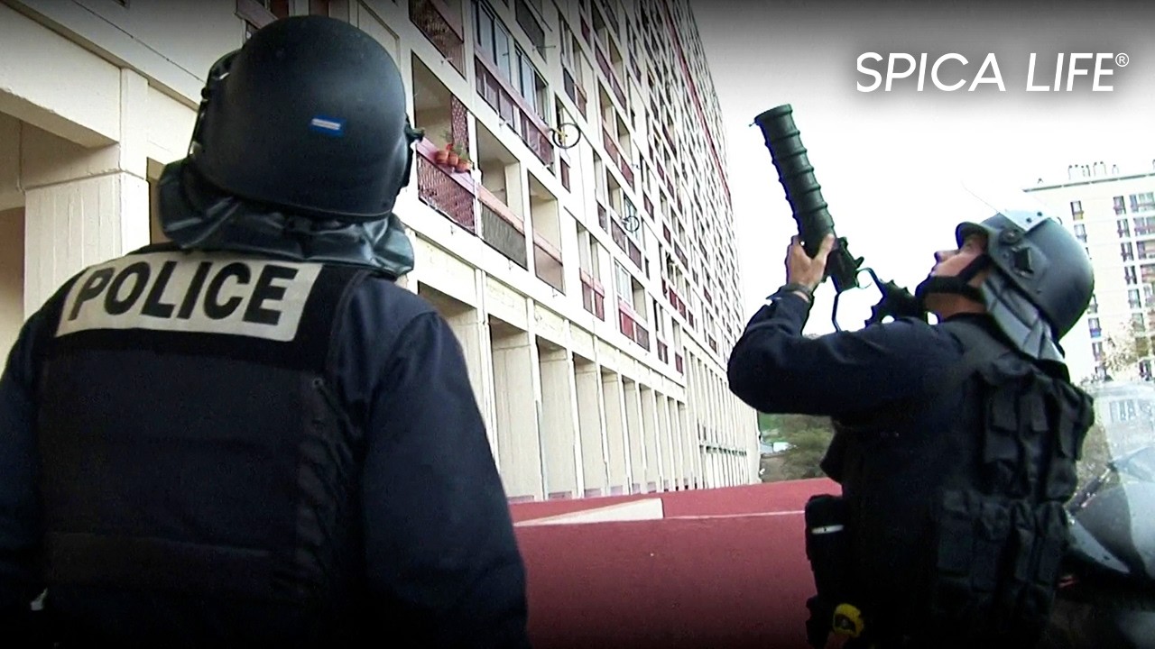 Criminalité à Marseille : les nouveaux défis sécuritaires