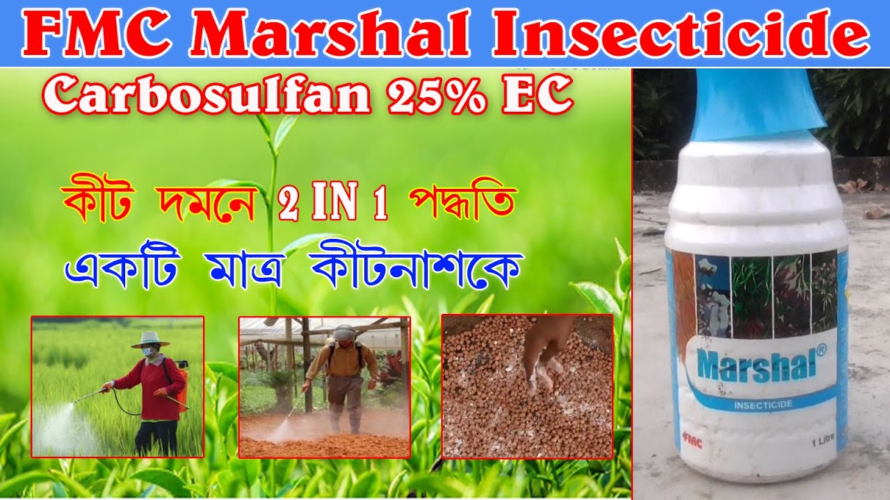 FMC Marshal insecticide II Dhanuka AAATANK | carbosulfan 25% EC  I A to Z আলোচনা এক ভিডিওতে।