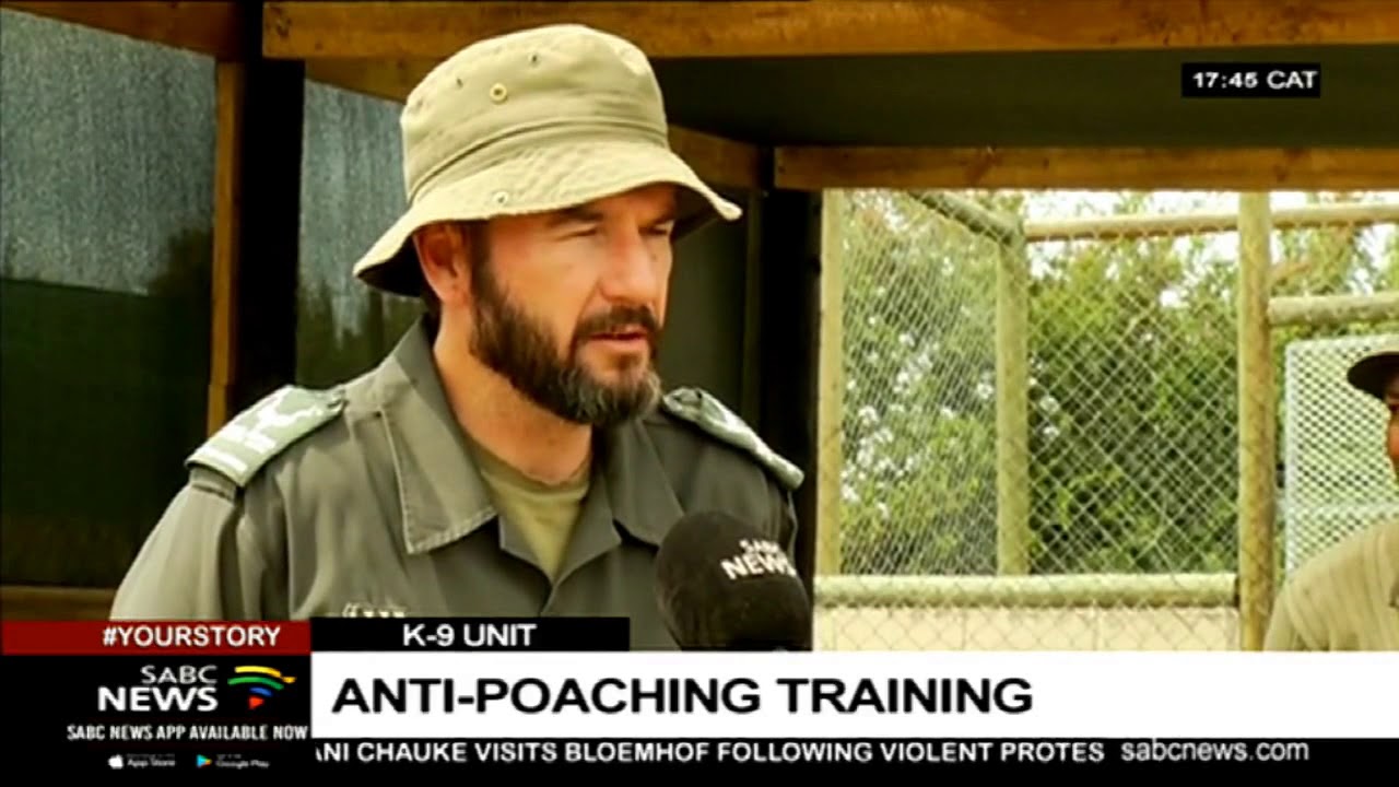 Addo Elephant National Park intensifies efforts to fight poaching