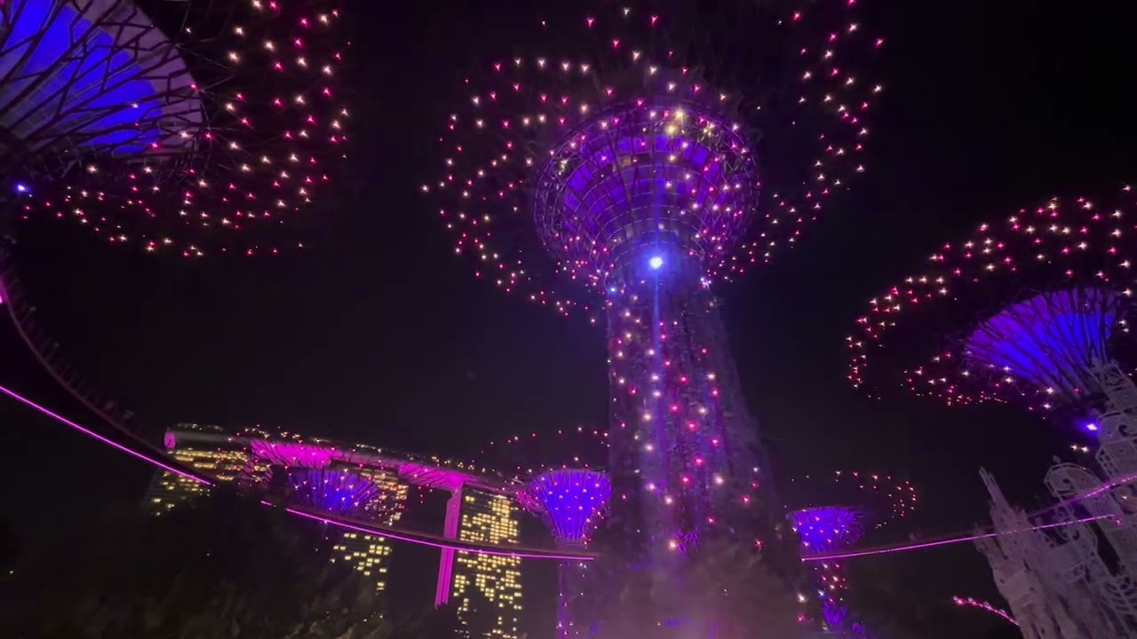 Supertree grove Christmas eve 2025 24 December 935 garden rhapsody and blizzard 